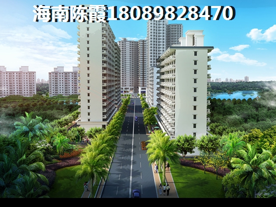 >2021万宁兴隆镇买房子分析