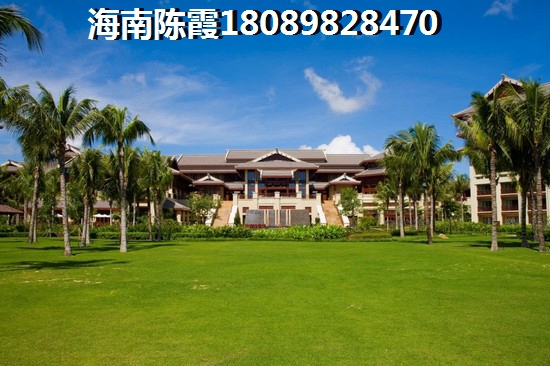 万泉河经典能买吗