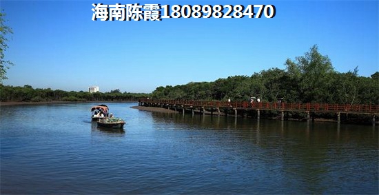 万宁红星美凯龙·万星汇详情