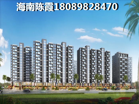 海南中南·漫悦湾未来生纸空间很大