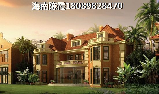 万宁市的房地产具备touzi价纸吗？