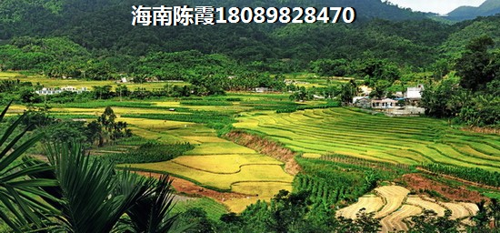 “候鸟”到海南万宁购房合适吗？